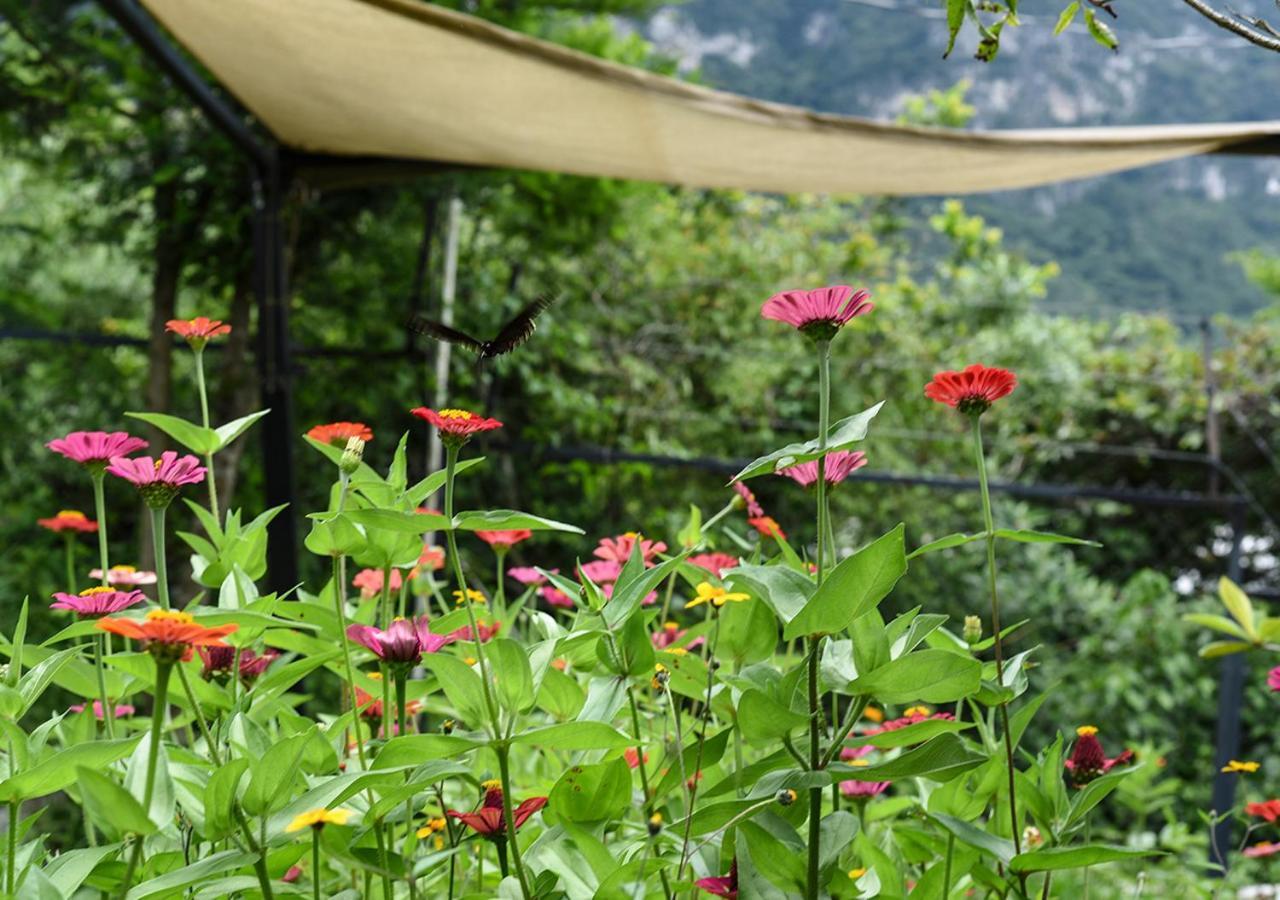 Cabanas Yei Calli Ciudad Mendoza ภายนอก รูปภาพ